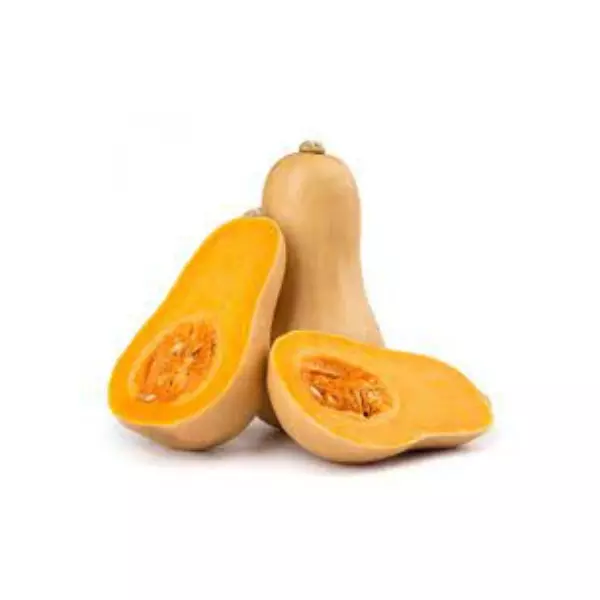 Zapallo anco agroecológico