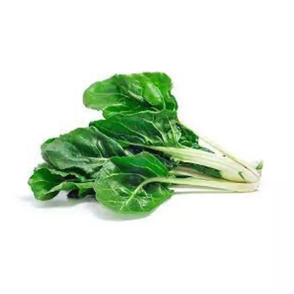 Acelga agroecológica