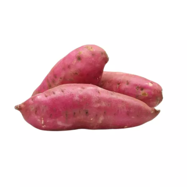 Batata agroecológica