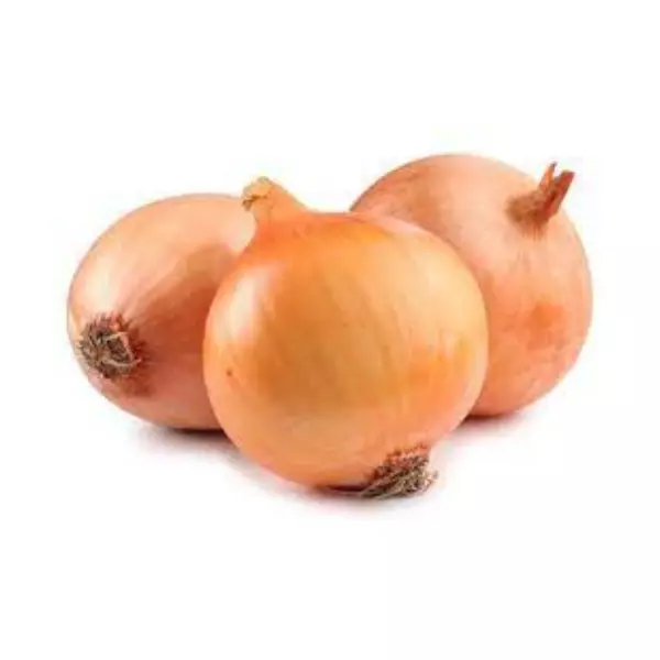Cebolla agroecológica