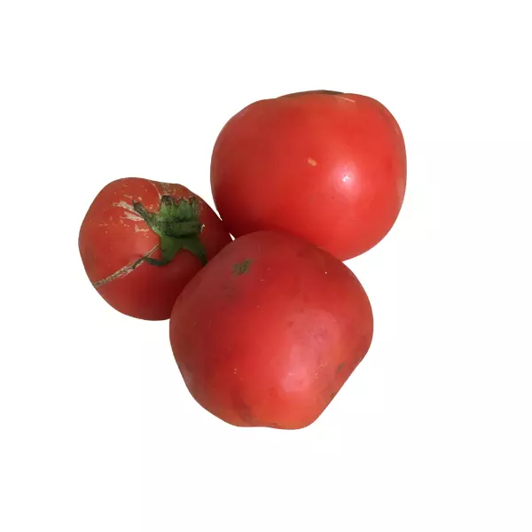 Tomate agroecológico