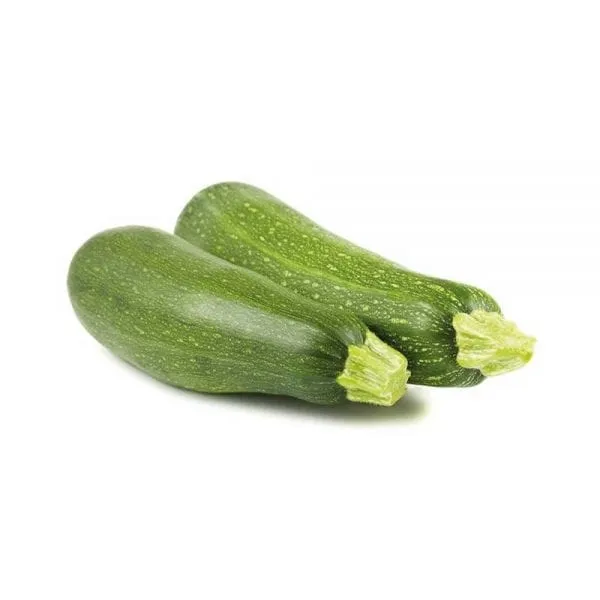 Zucchini agroecológico