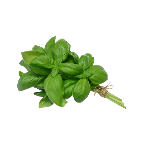 Albahaca agro