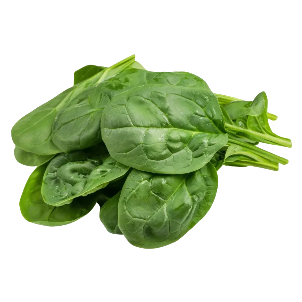 Espinaca agroecológica