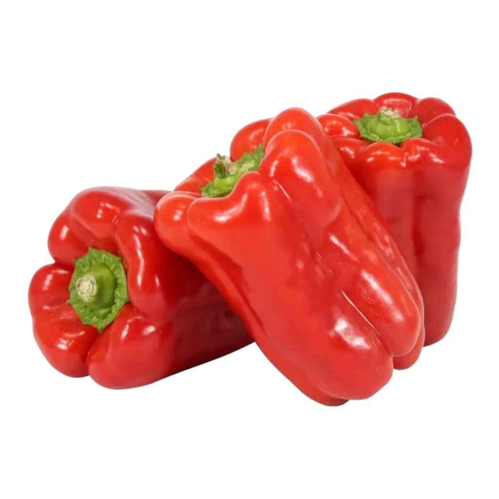 Morron Rojo agroecológico