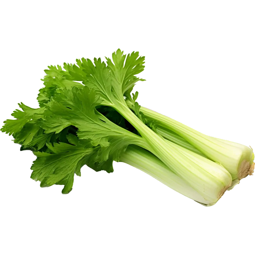 Apio agroecológico