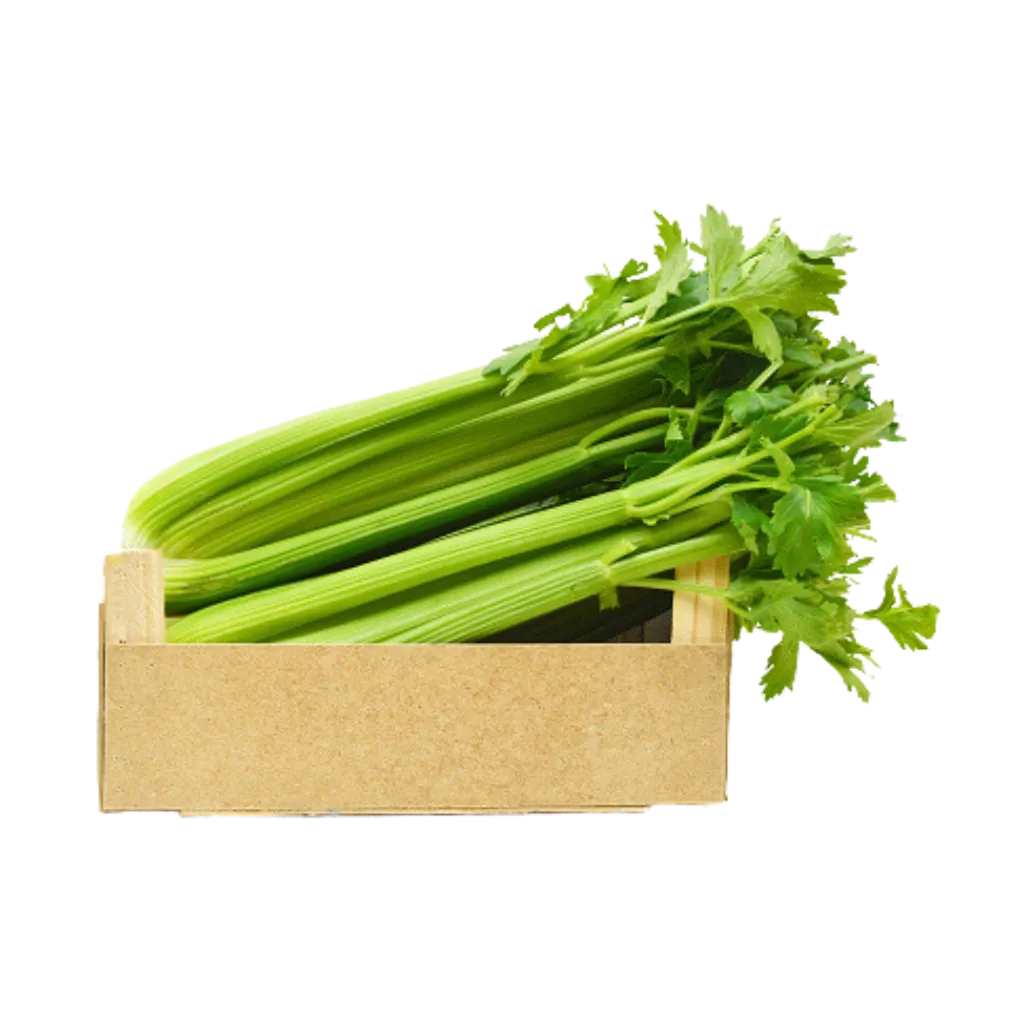 Cajon de Apio agroecológico