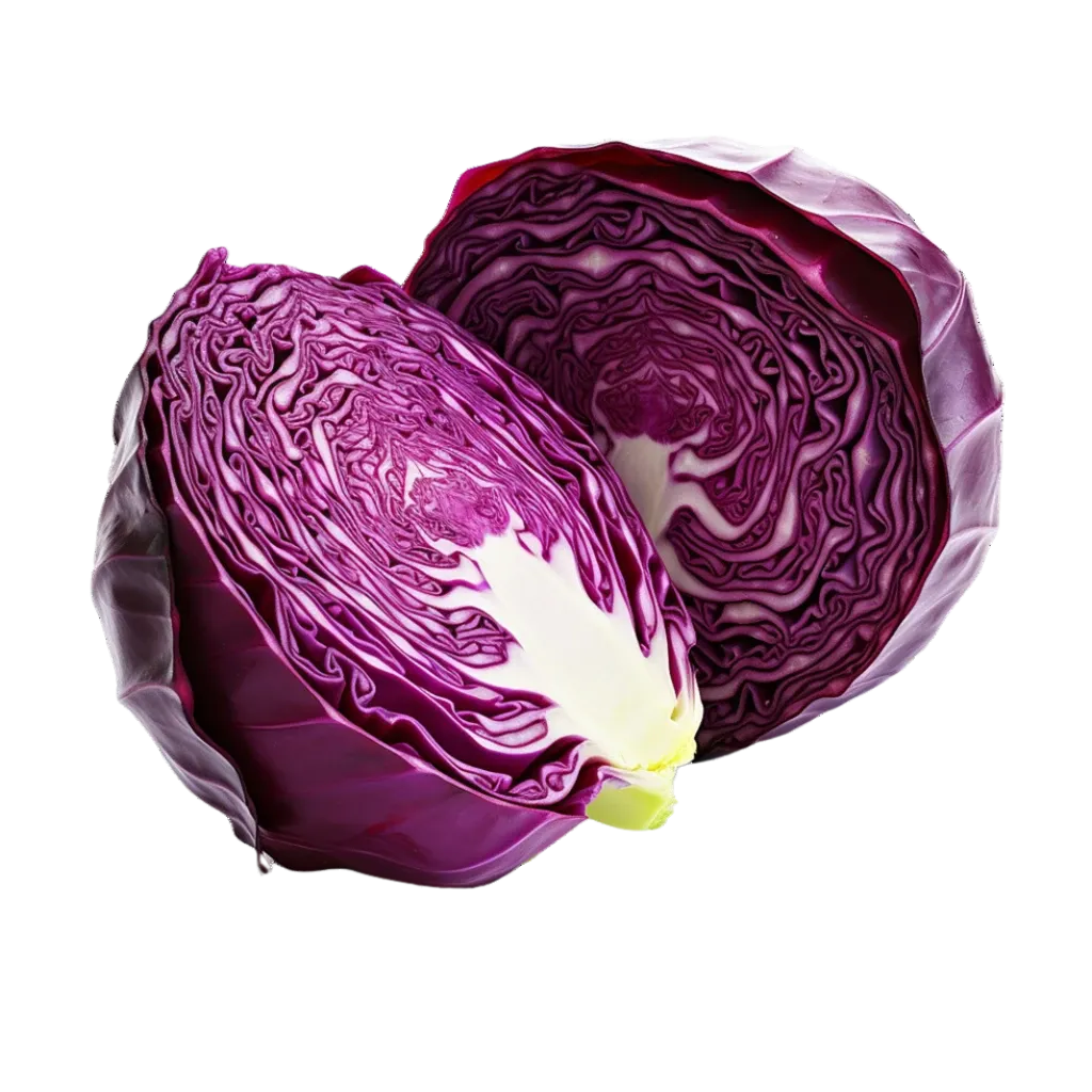 Repollo colorado agroecológico