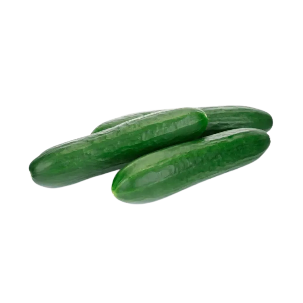 Pepino agroecológico