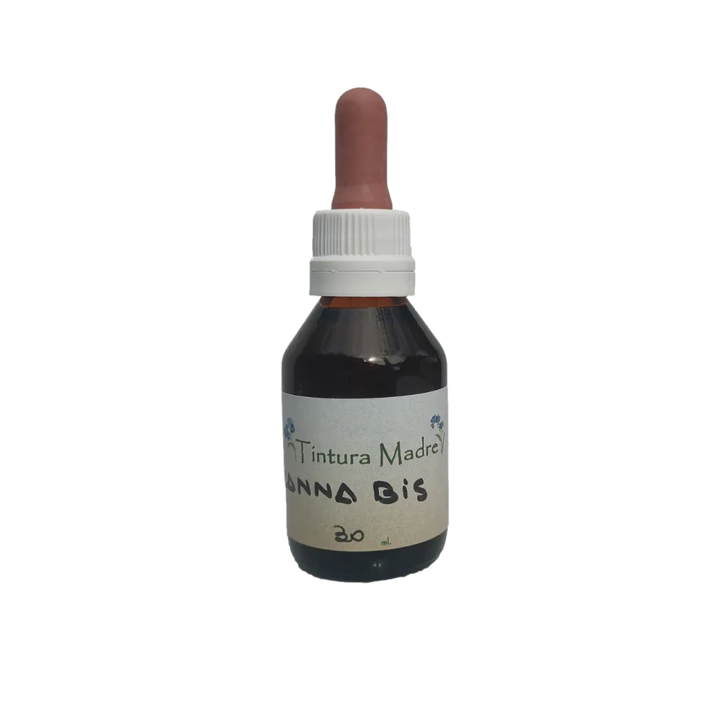 Tintura madre cannabis