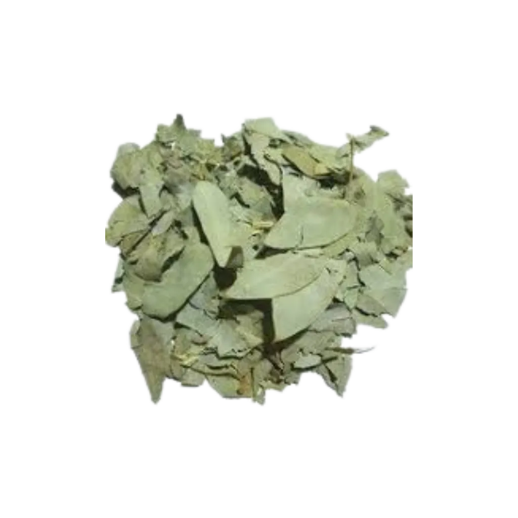 Eucalipto