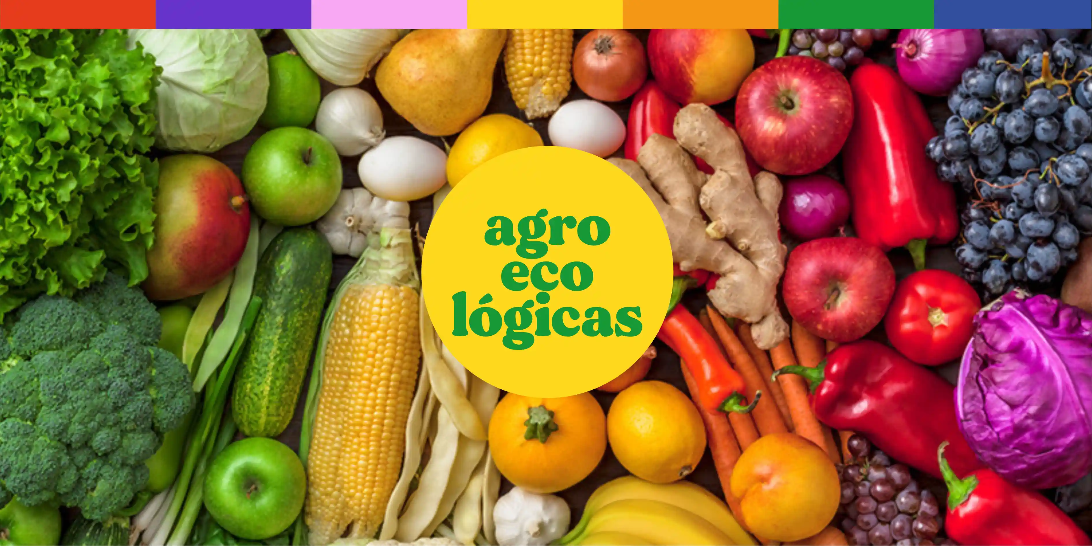 Verduras agroecológicas y orgánicas