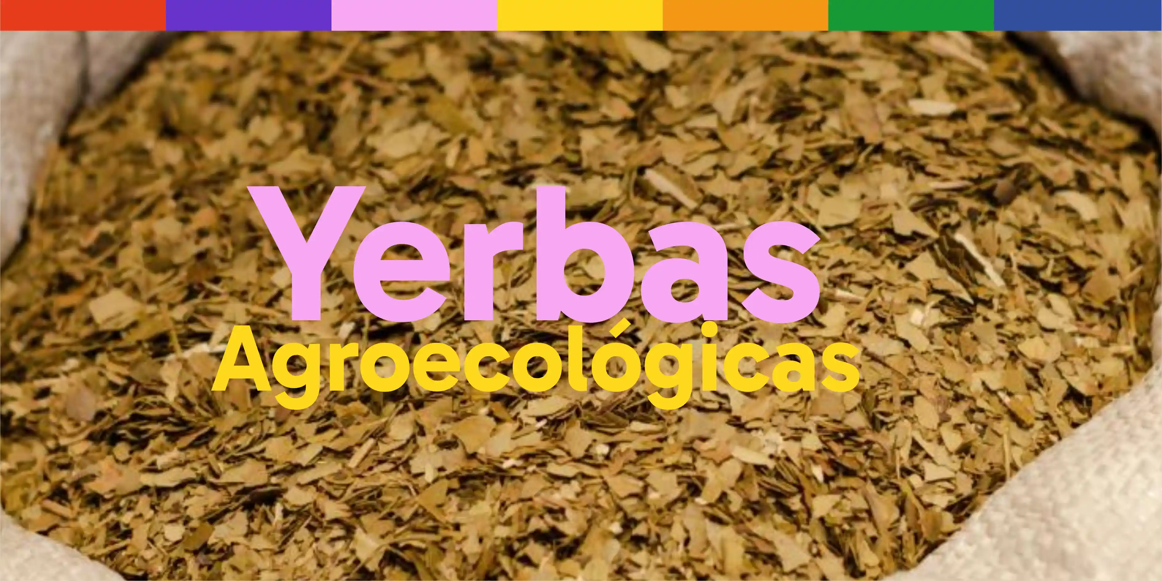 yerbas