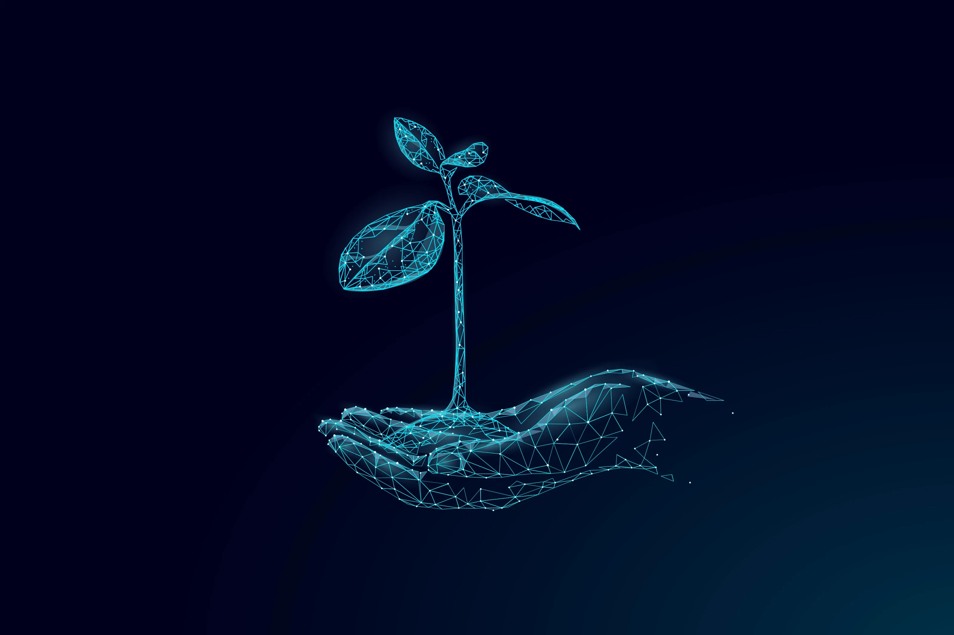 poly-seedling-in-hand-hi-res