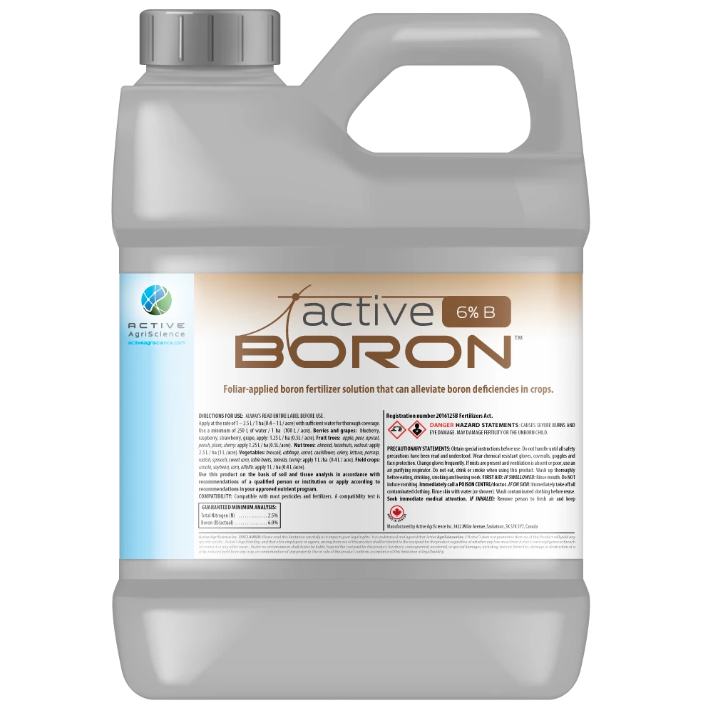 active-boron-jug-mockup