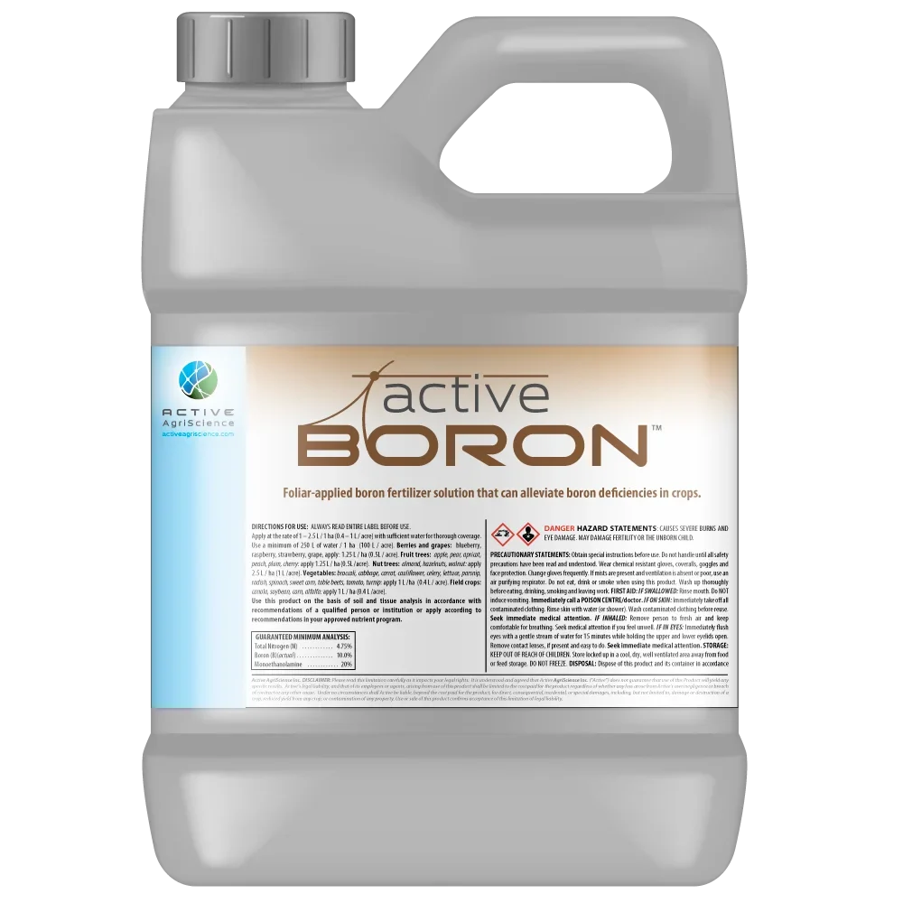 active-boron-jug