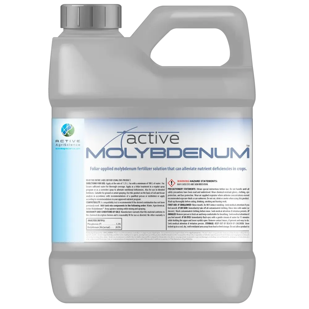 active-molybdenum-jug