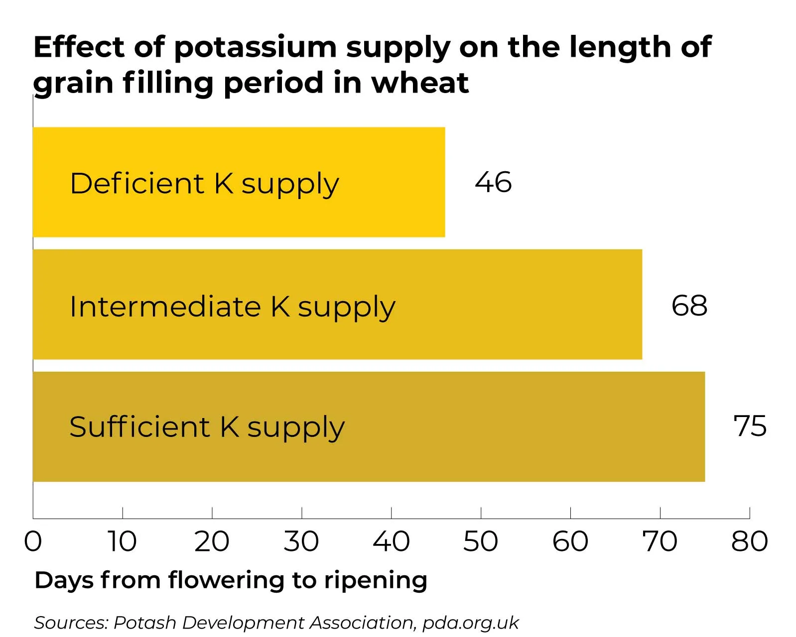 Effect-of-potassium-supply-on-the-length-of-grain-filling-period-in-wheat