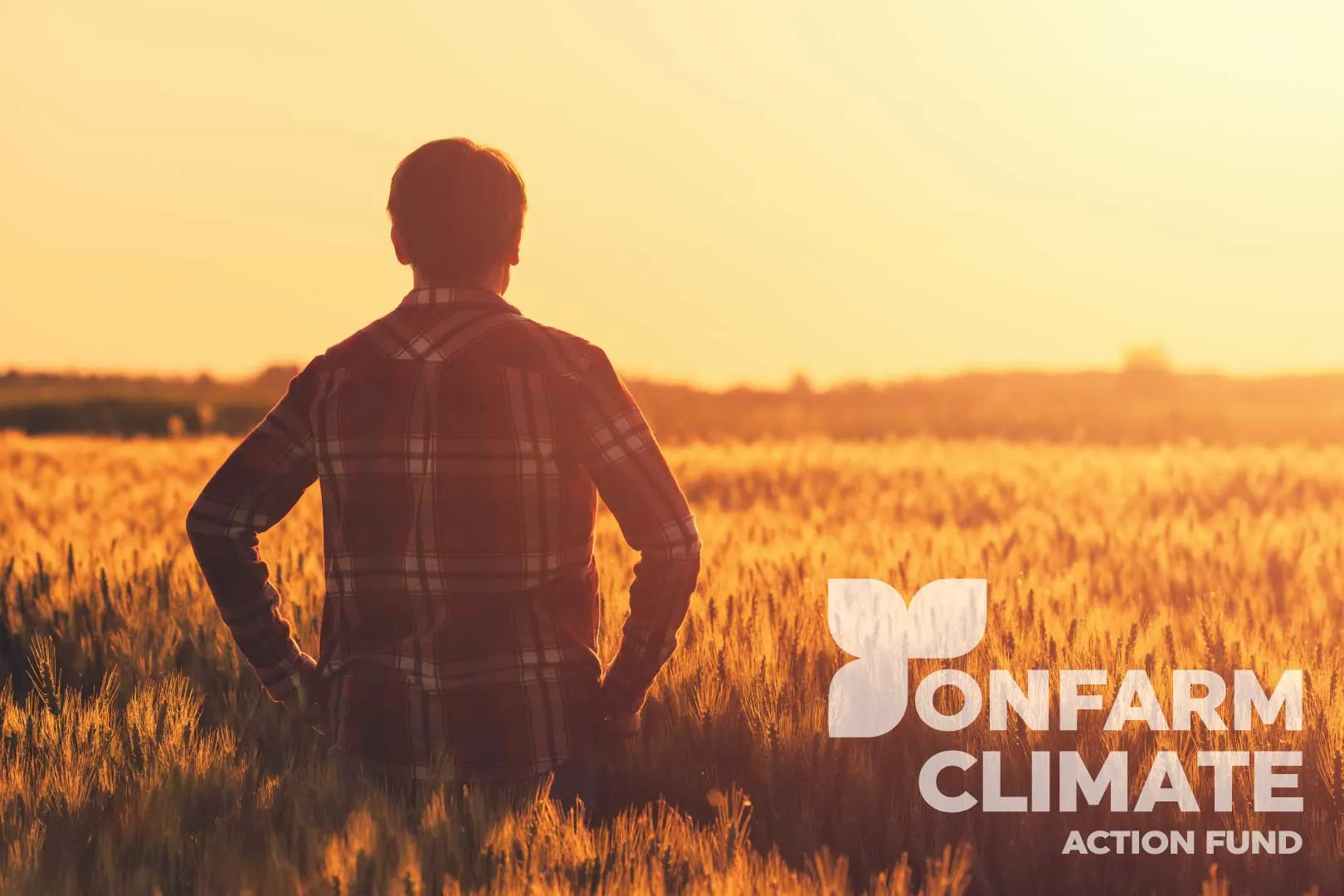 on farm climate action fund nitrogen management