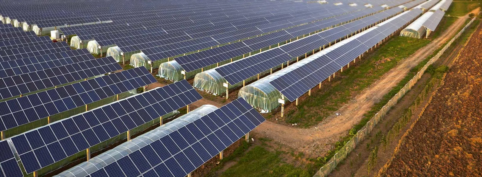Eco-friendly Solar Farm.