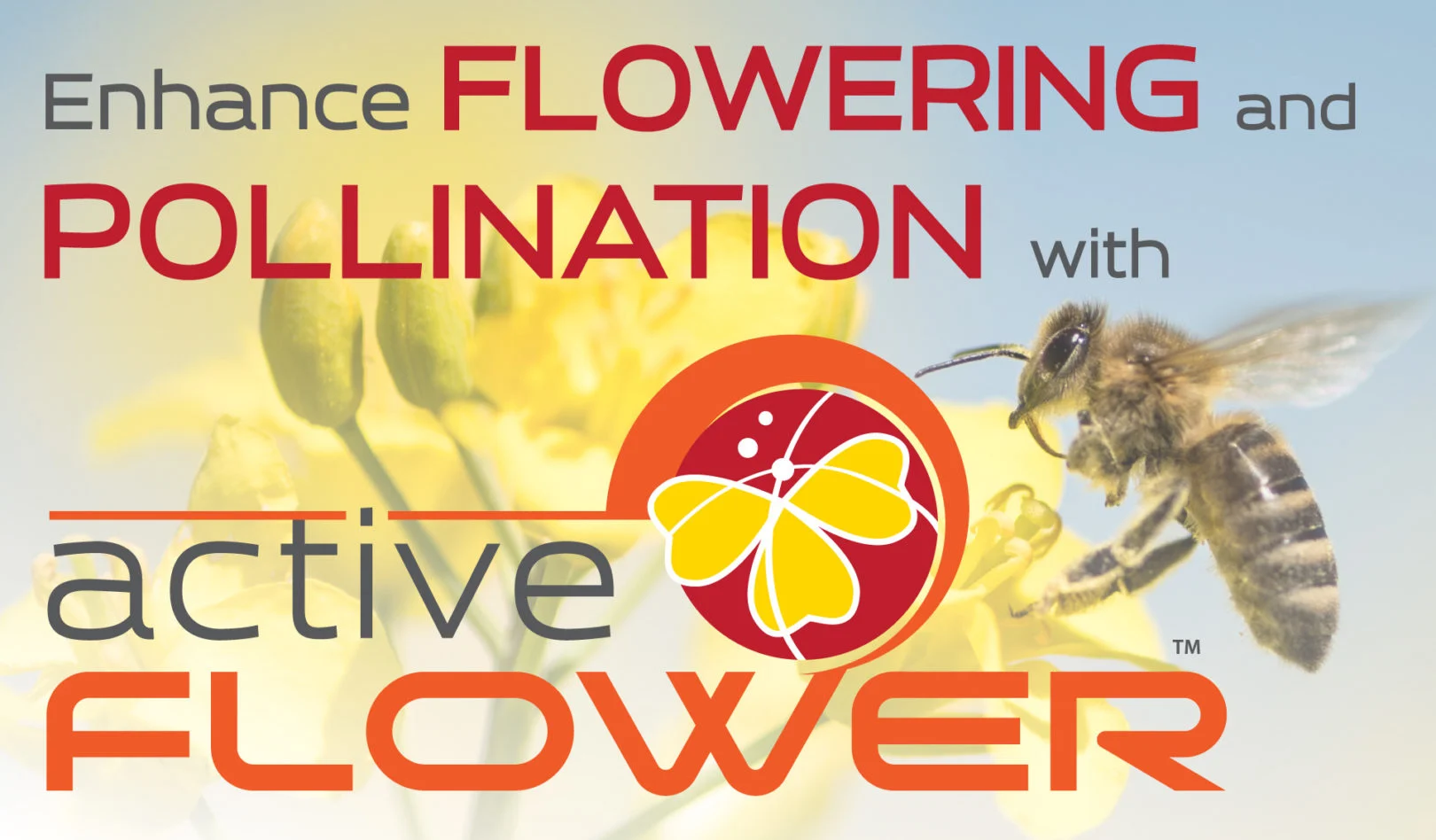 Enhance flowering and pollination with Active FLOWER.