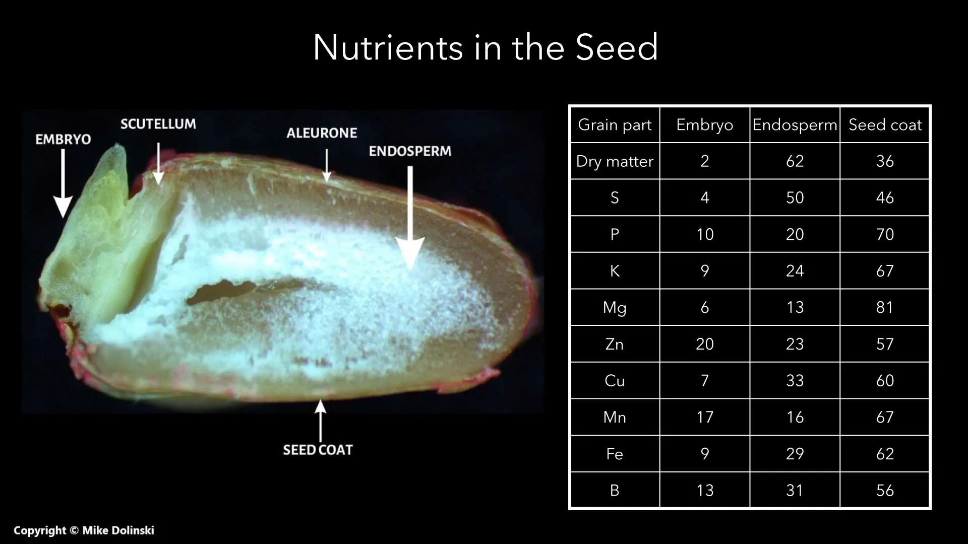 Nutrients-in-the-Seed