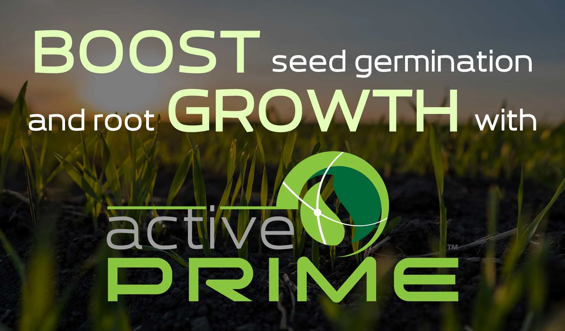 Boost seed germination and root growth with Active PRIME.