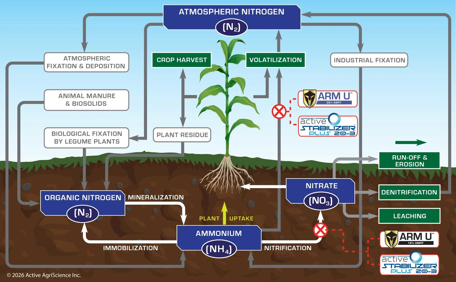 Nitrogen-Process-2026