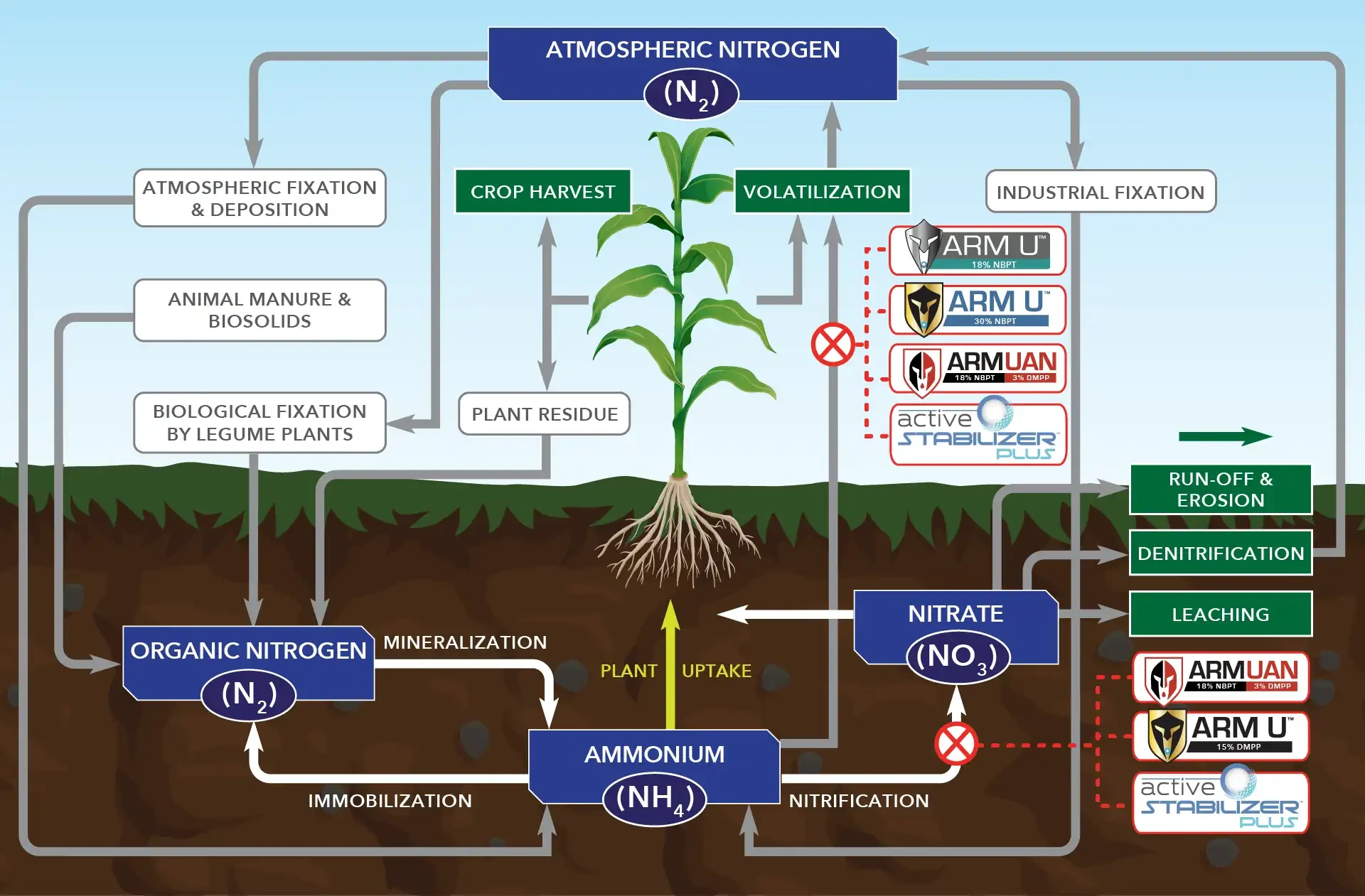 Active AgriScience Nitrogen Process