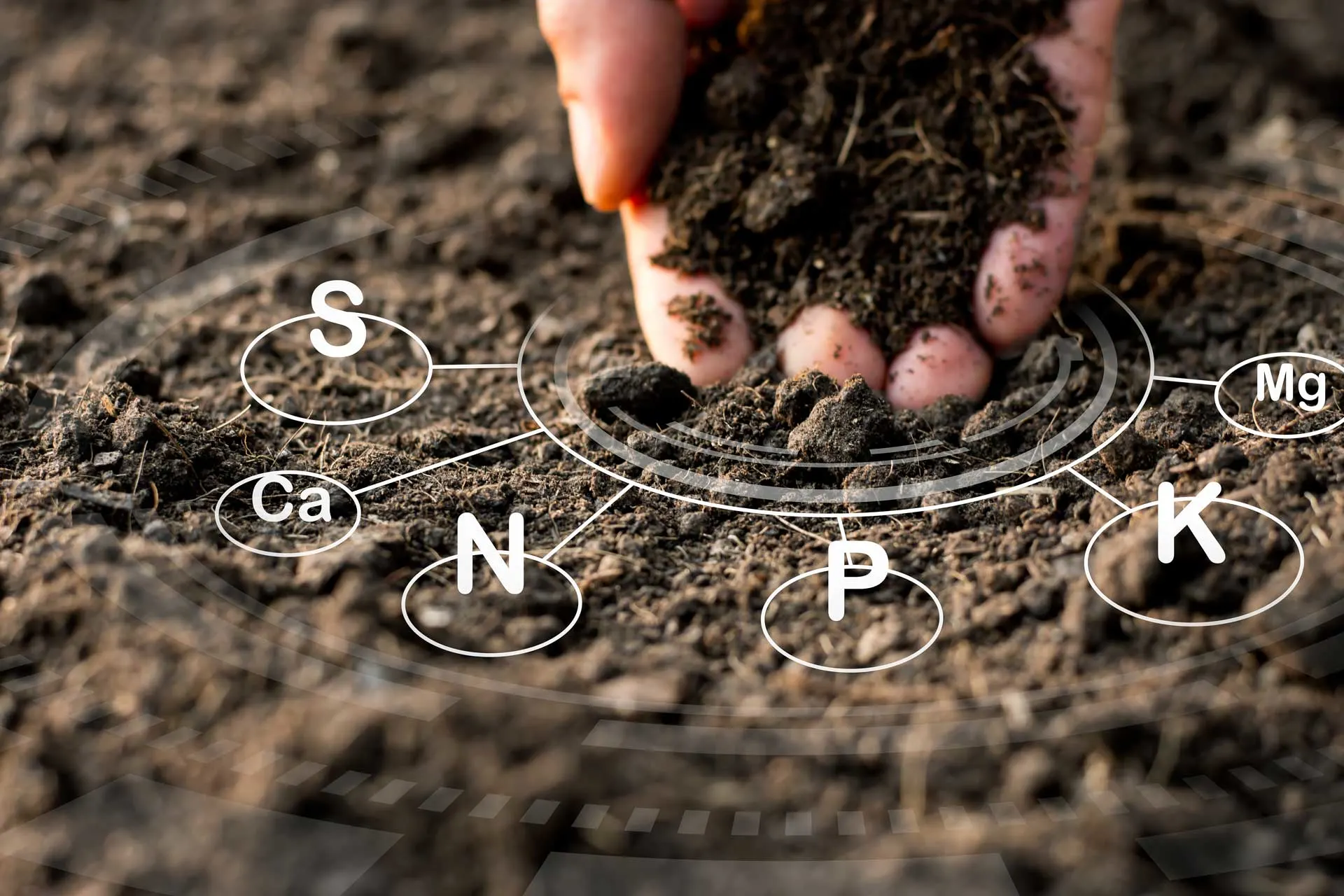 Hand in soil, showing Sulfur, Calcium, Nitrogen, Phosphorus, Potassium, Magnesium, some of the most important plant nutrients.