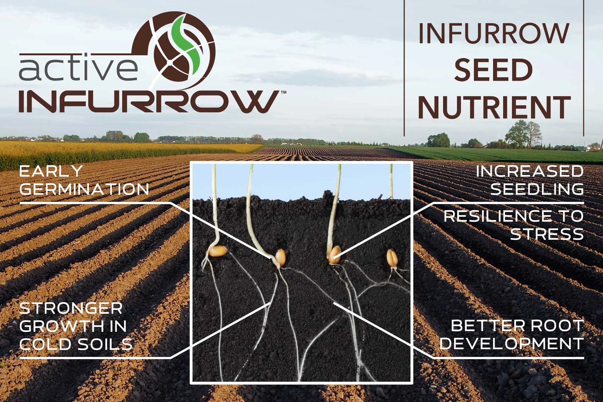 Active INFURROW: Early germination, stronger growth in cold soils, increased seedling resilience to stress, better root development leading to improved crop yield potential.