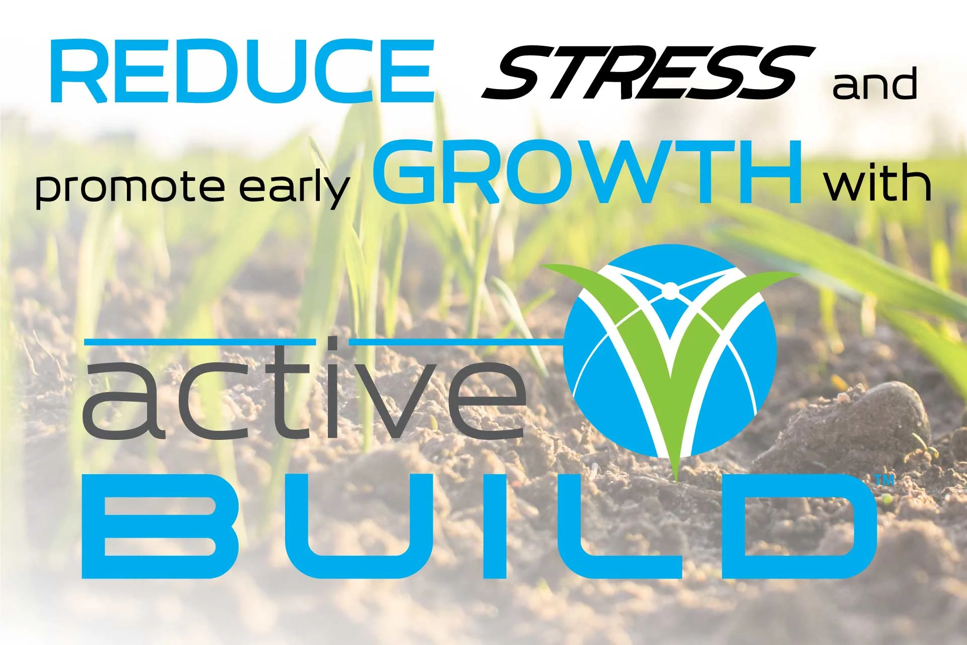 Reduce stress and promote early growth with Active BUILD.