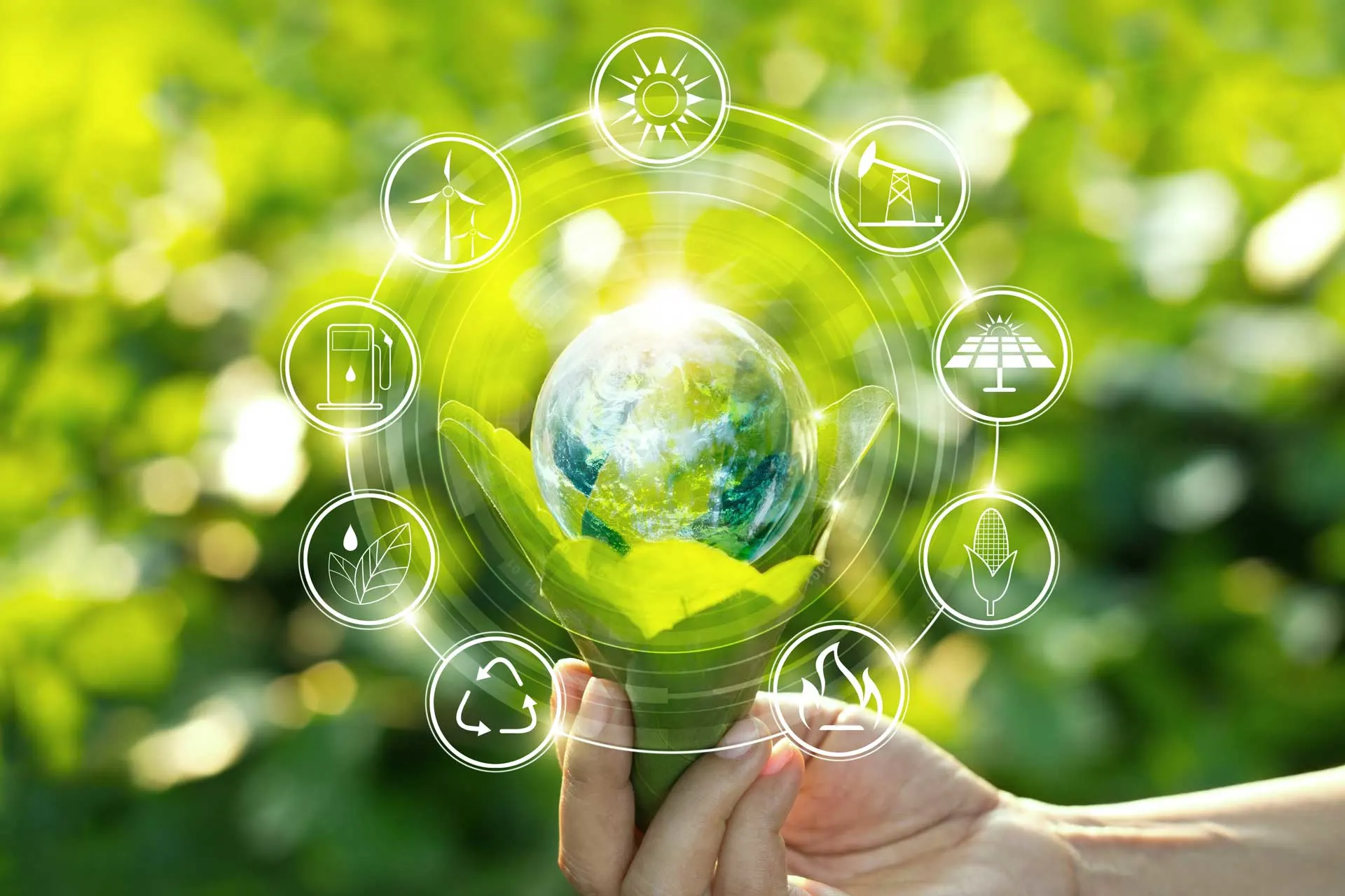 Sustainable Development