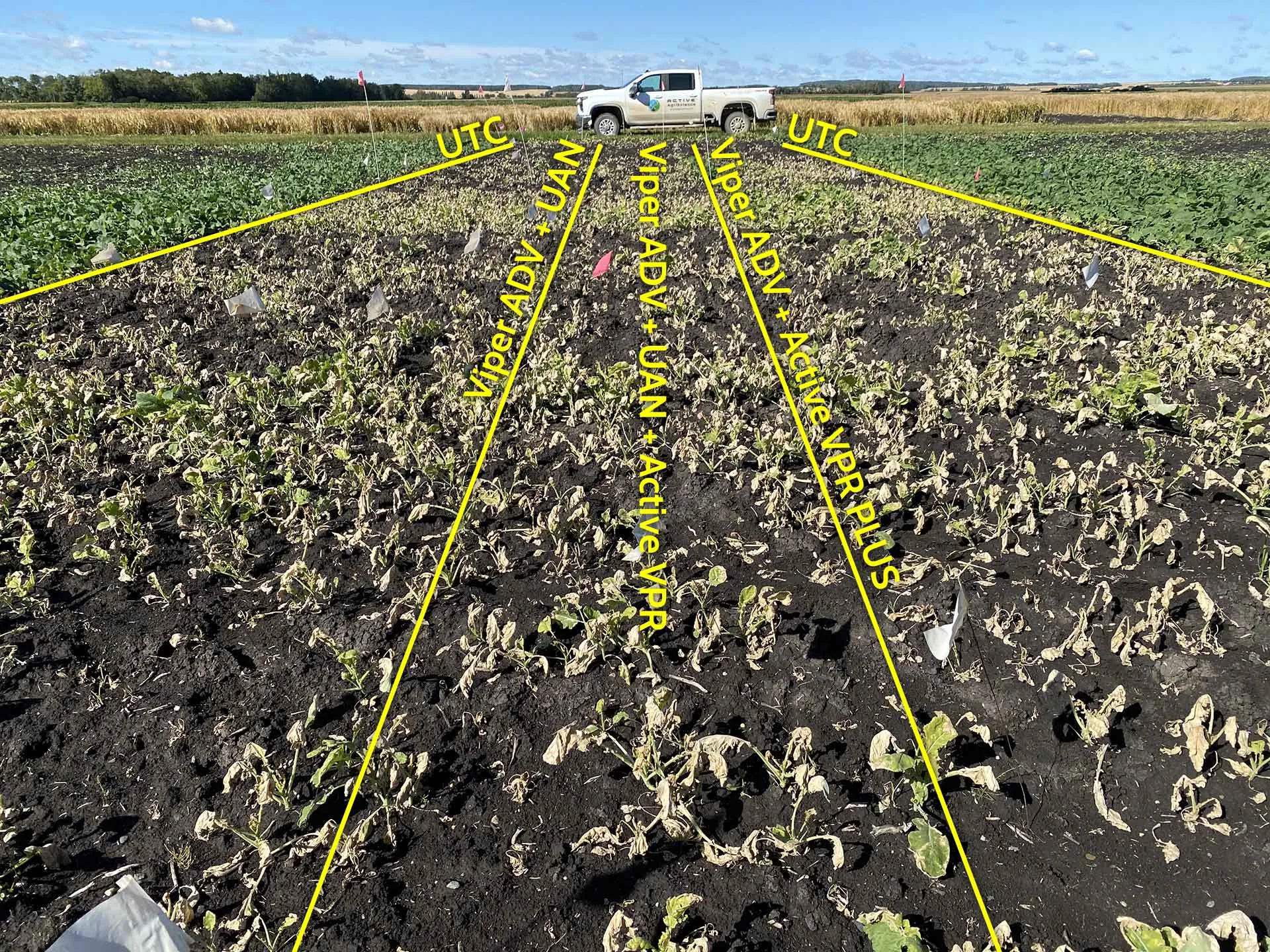 Active VPR PLUS Trial Results after 10 days of application.