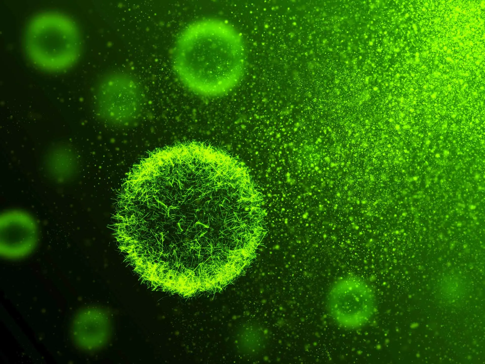 Microbes in the soil.