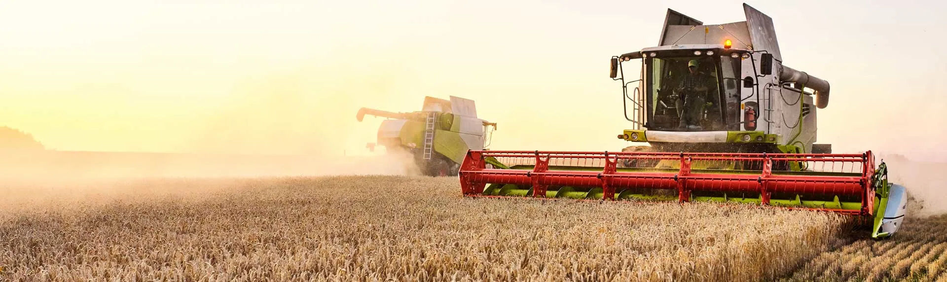 harvester-wheat-field