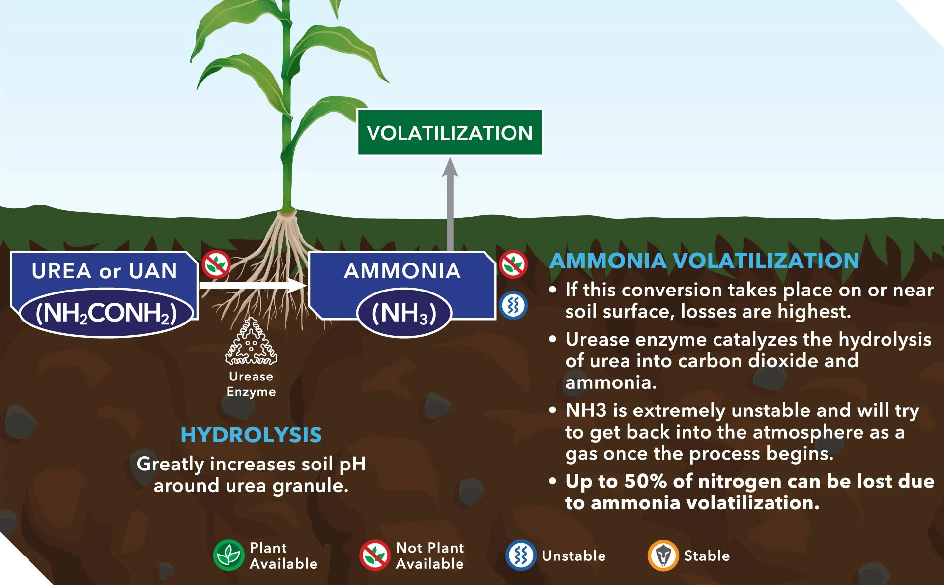 Potential loss mechanisms of volatilisation