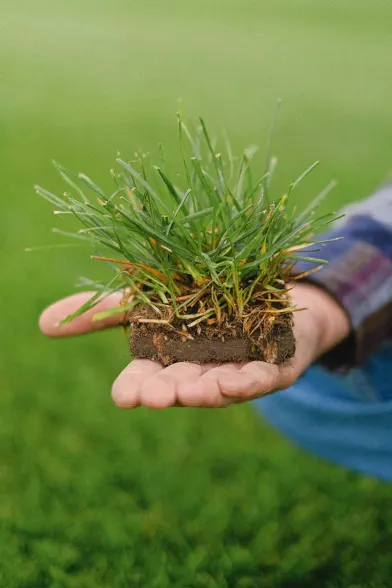 A person holding topsoil.