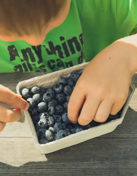 Child eating blueberries.