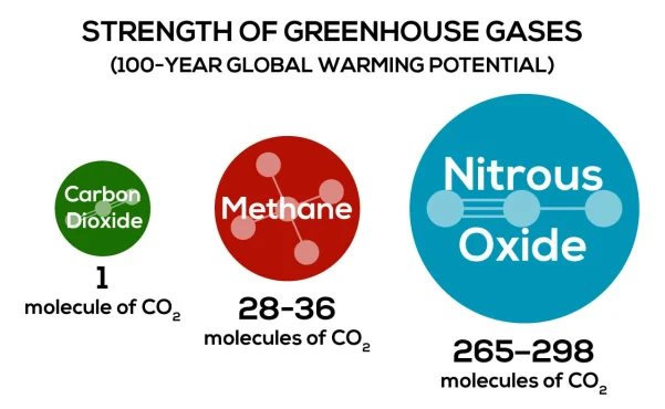 Global warming potential based on 100-year time horizon