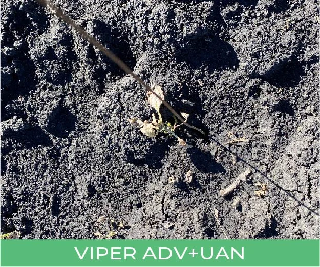 Weeds treated with Viper ADV + UAN