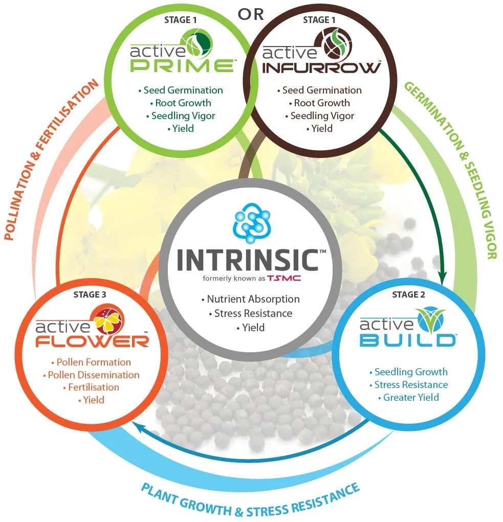 Canola - Product Combinations