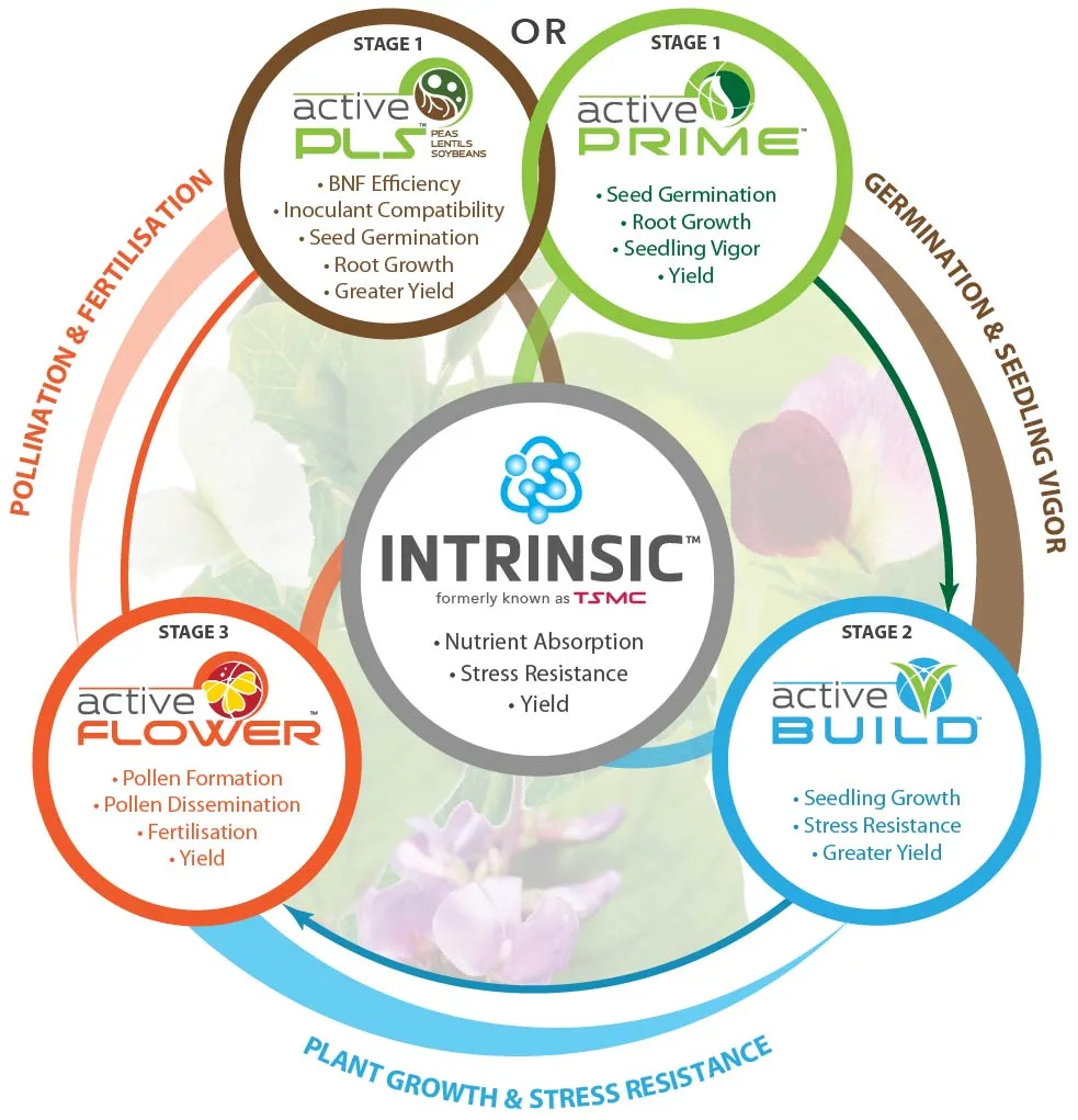 Legumes - Product Combinations