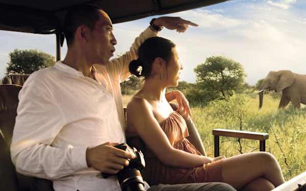 Cape Town and Kruger National Park Safari