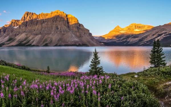 Bow-Lake-Banff-scaled