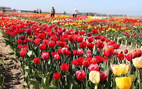 8712471890_0272306ede_o-scaled