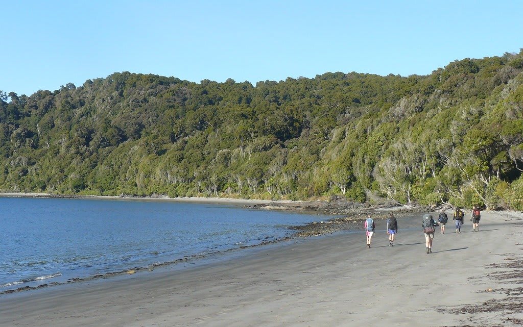 Hike the Rakiura Track