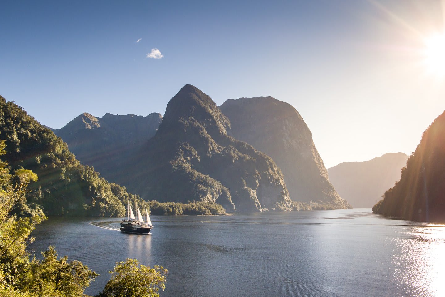 Patea Doubtful Sound Cruise New Zealand Activity