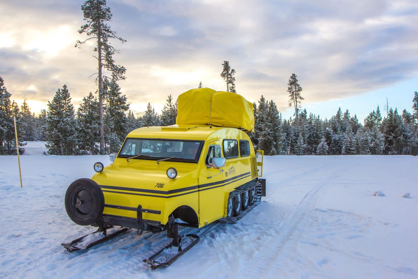 Ten Reasons to Visit Yellowstone in Winter