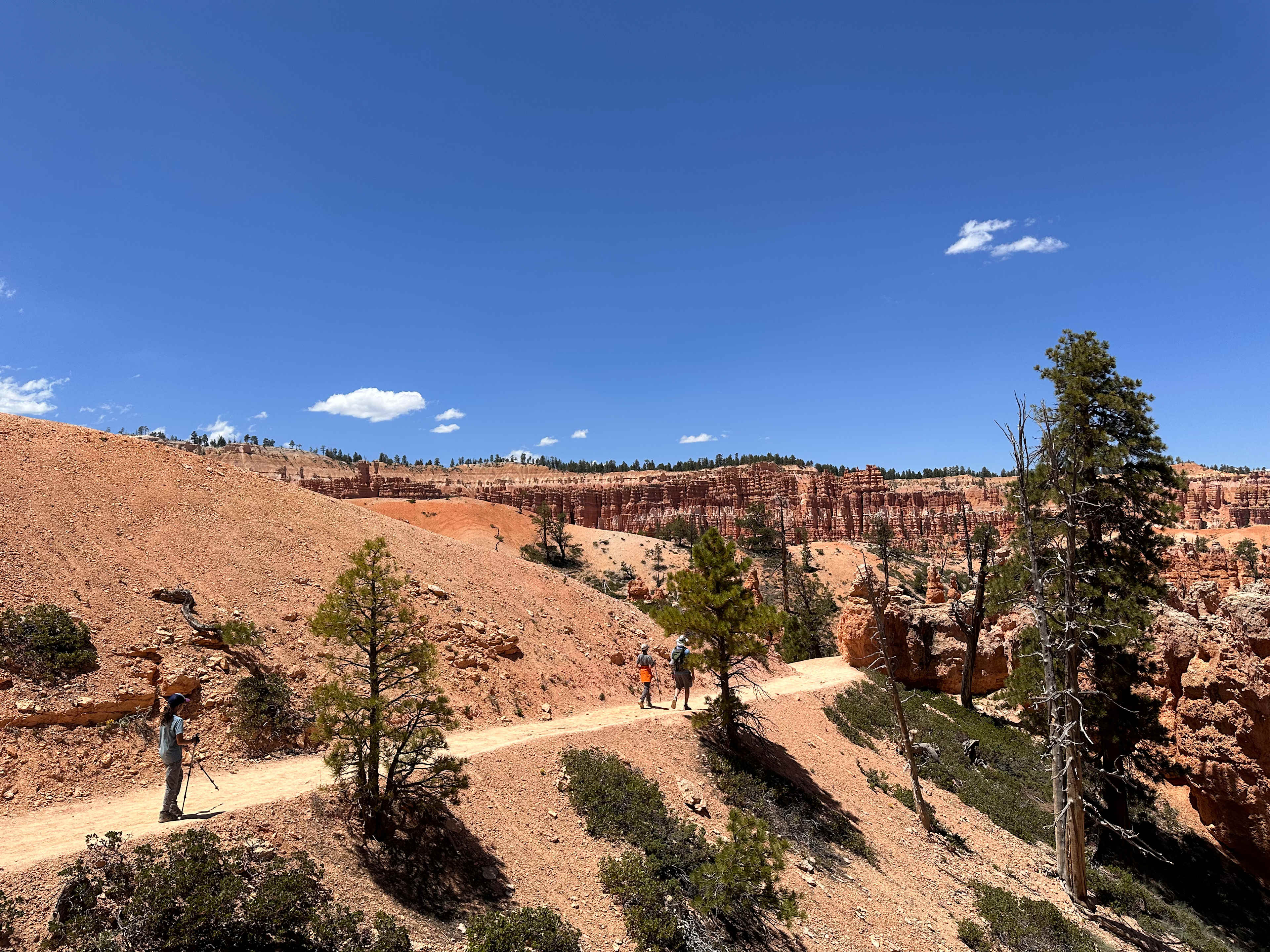 5722542E-C5AC-4188-8C6A-43B88E75A6AD